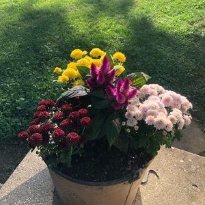 Meet your Posher, Beth